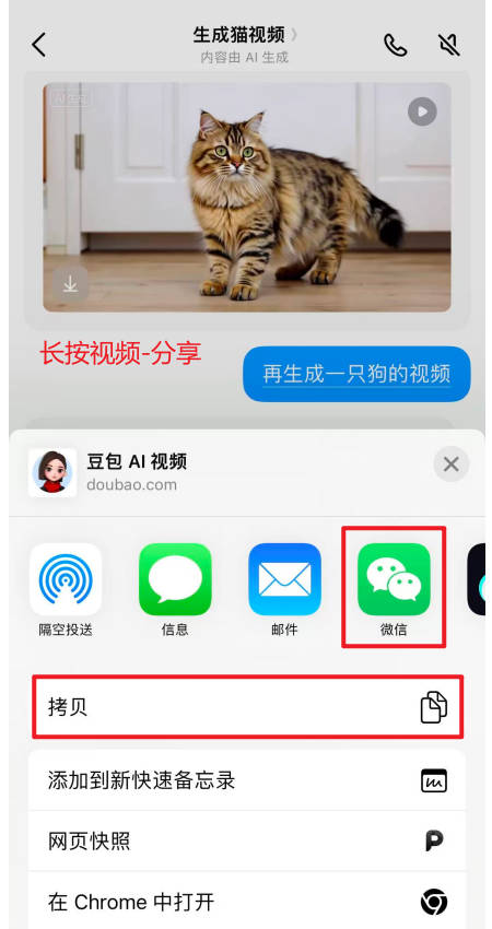 视频分享示意